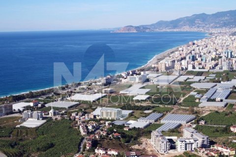 1+1 Lejlighed  i Alanya, Antalya, Tyrkiet Nr. 116712 - 7