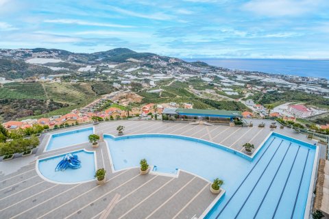 2+1 Wohnung  in Alanya, Antalya, Türkei Nr. 144651 - 7