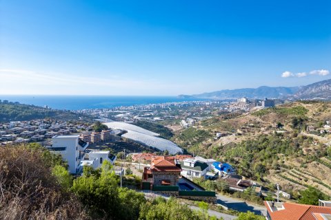 Tom i Alanya, Antalya, Tyrkiet Nr. 189062 - 12