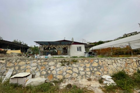 Tom  i Mersin, Tyrkiet Nr. 168478 - 6