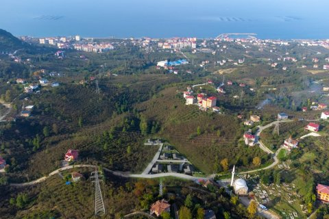 Tömma i Arsin, Trabzon, Turkiet Nr. 186922 - 2