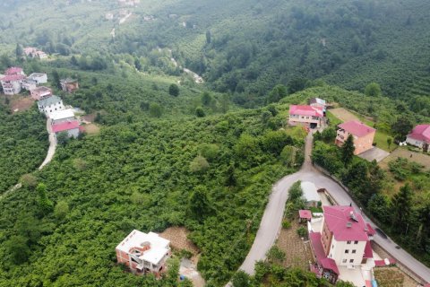 8+2 Villa i Arsin, Trabzon, Tyrkiet Nr. 167679 - 8