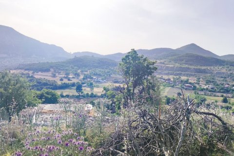 ویلا در  Kalkan ، ترکیه 4 خوابه ، 175 متر مربع.  شماره 167526 - 7