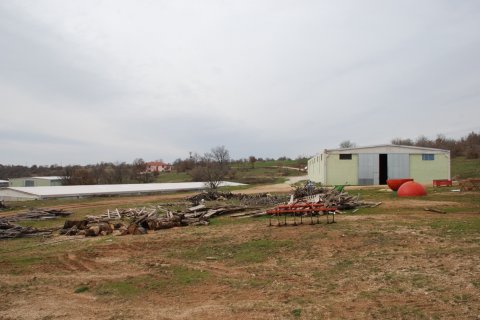Tom i Kirklareli, Tyrkiet Nr. 184419 - 16