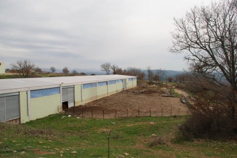 Tom i Kirklareli, Tyrkiet Nr. 184419 - 17