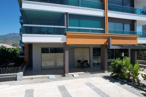 Commercial property for sale in Kestel, Antalya, Turkey, 303m2, No. 166457 – photo 6