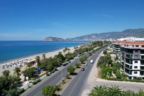 Commercial property for sale in Kestel, Antalya, Turkey, 303m2, No. 166457 – photo 3