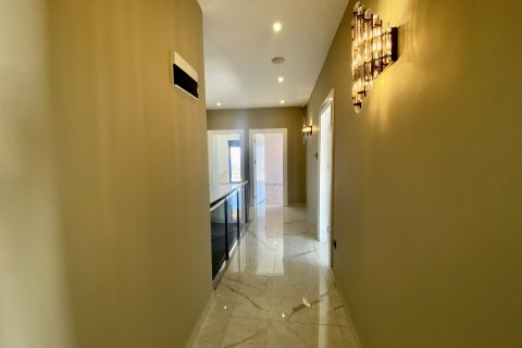 پنت هاس در  Alanya ، ترکیه 5 خوابه ، 200 متر مربع.  شماره 161096 - 8