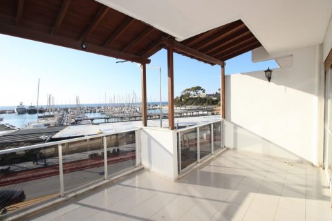   in Kusadasi, Aydin, Türkei Nr. 165655 - 2