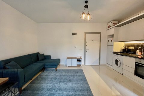 Аренда квартиры в Аланье, Анталье, Турция 1+1, 40м2, №171330 – фото 2