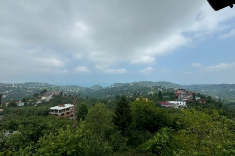 8+2 Villa i Arsin, Trabzon, Tyrkiet Nr. 167679 - 13