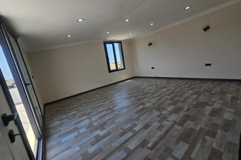 4+1 Villa i Didim, Aydin, Turkiet Nr. 170084 - 14