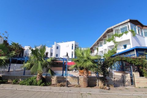 Продажа отеля в Бодруме, Мугле, Турция, 2000м2, №160000 – фото 3