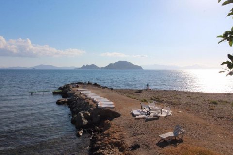 Продажа отеля в Бодруме, Мугле, Турция, 2000м2, №160000 – фото 4