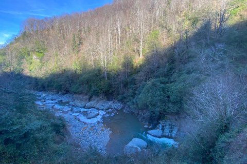 Hotell i Arhavi, Artvin, Tyrkia Nr. 185624 - 7