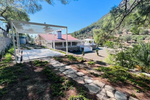 i Datca, Mugla, Turkiet Nr. 211732 - 6