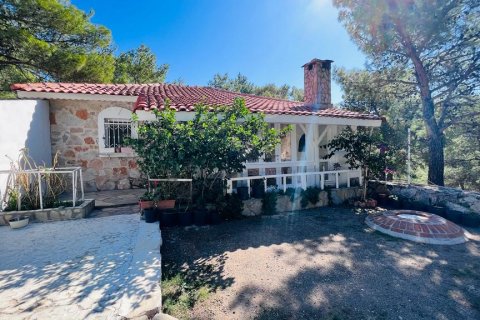 i Datca, Mugla, Turkiet Nr. 211732 - 9