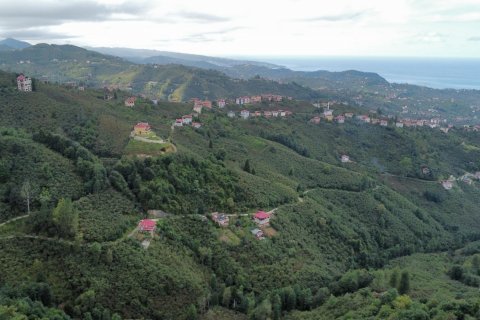 Arsa Arsin, Trabzon, Türkiye №186775 - 11