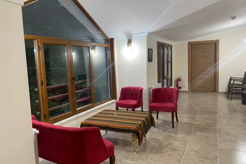 Gewerbeimmobilien  in Macka, Trabzon, Türkei Nr. 185670 - 12
