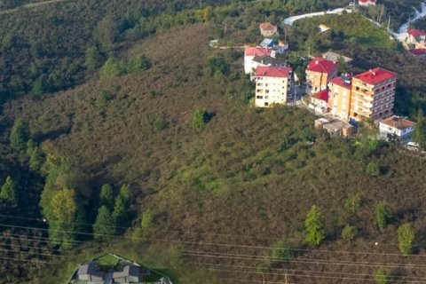 Tömma i Arsin, Trabzon, Turkiet Nr. 186922 - 19