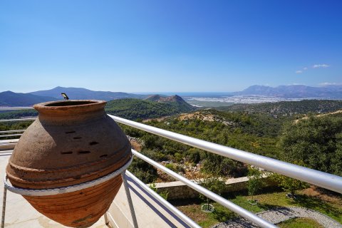 4+1 Villa i Kalkan, Antalya, Turkiet Nr. 211591 - 12