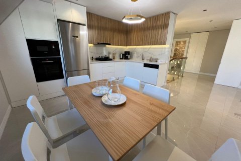 3+1 Lägenhet  i Alanya, Antalya, Turkiet Nr. 171333 - 7