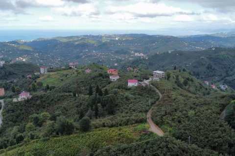 Arsa Arsin, Trabzon, Türkiye №186775 - 4