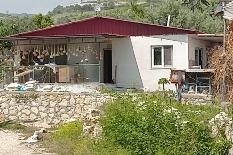 Tömma  i Mersin, Turkiet Nr. 168478