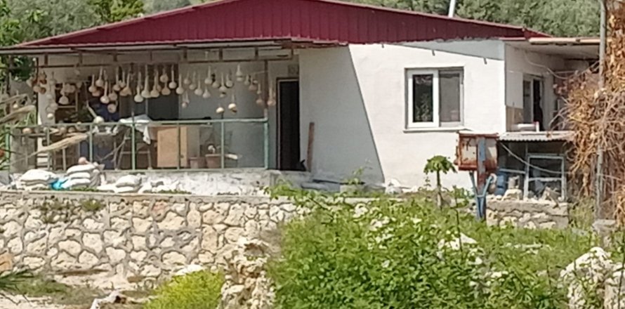 Tom  i Mersin, Tyrkiet Nr. 168478