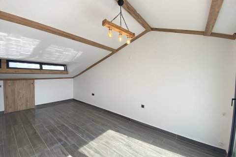 3+1 Villa in Didim, Aydin, Türkei Nr. 165398 - 12