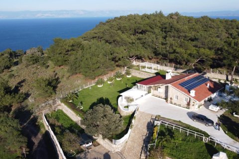 i Datca, Mugla, Turkiet Nr. 211732 - 21