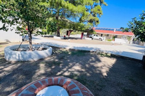 i Datca, Mugla, Turkiet Nr. 211732 - 18