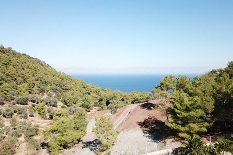 i Datca, Mugla, Turkiet Nr. 211732 - 20