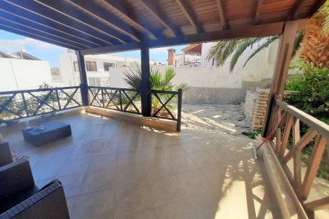 i Bodrum, Mugla, Tyrkia Nr. 165626 - 19
