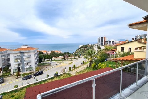 4+0 Villa in Kusadasi, Aydin, Türkei Nr. 162914 - 14