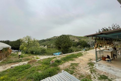 Tom  i Mersin, Tyrkiet Nr. 168478 - 17