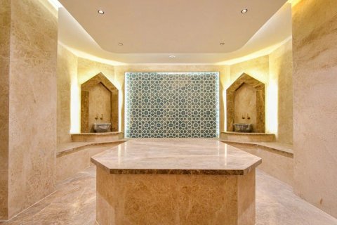 آپارتمان در Payallar،  Alanya ، ترکیه 1 خوابه ، 55 متر مربع.  شماره 185302 - 9