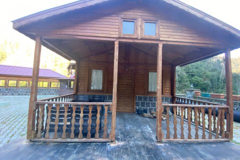 Hotell i Arhavi, Artvin, Tyrkia Nr. 185624 - 15