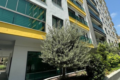Продажа квартиры в Аланье, Анталье, Турция 1+1, 60м2, №164595 – фото 3