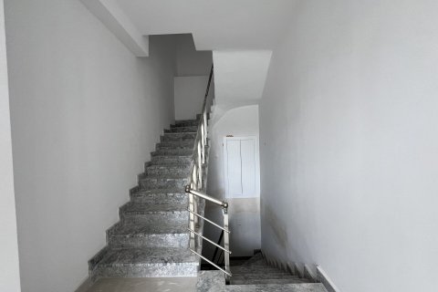 Ladengeschäft  in Kargicak, Alanya, Antalya, Türkei Nr. 166331 - 9