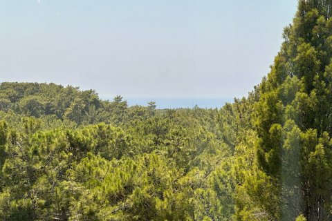 Apartment for sale in Alanya, Antalya, Turkey, 1 bedroom, 55m2, No. 171575 – photo 14