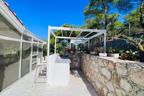 i Datca, Mugla, Turkiet Nr. 211732 - 26