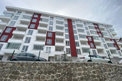 Daire 1+1 Trabzon, Türkiye №159027 - 2