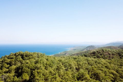 i Datca, Mugla, Turkiet Nr. 211732 - 24