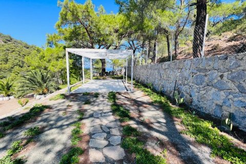 i Datca, Mugla, Turkiet Nr. 211732 - 22