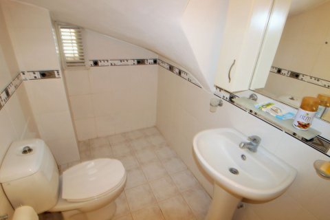 4+1 Penthäuser in Didim, Aydin, Türkei Nr. 165486 - 8