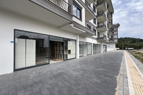 مغازه در Kargicak، Alanya ، ترکیه 100 متر مربع. شماره 166330