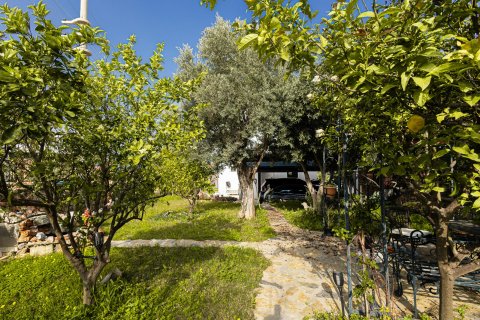 5+2 Villa i Alanya, Antalya, Tyrkiet Nr. 188259 - 12
