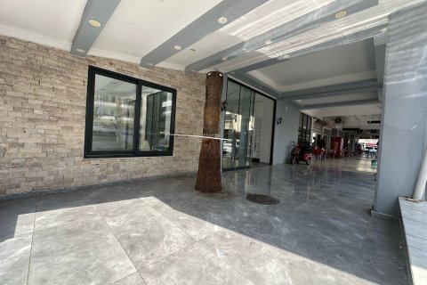 Kontor i Alanya, Antalya, Turkiet Nr. 188010 - 9