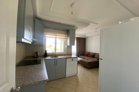 Продажа квартиры в Тосмуре, Аланье, Анталье, Турция 1+1, 65м2, №162366 – фото 10